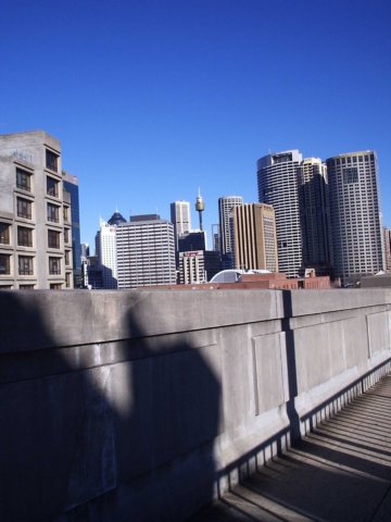 p8150056.jpg