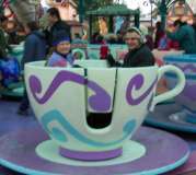 In a cup (in a spin)