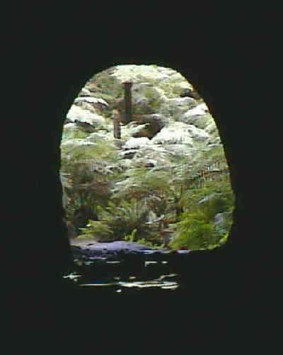 Looking back out of the old tunnel.